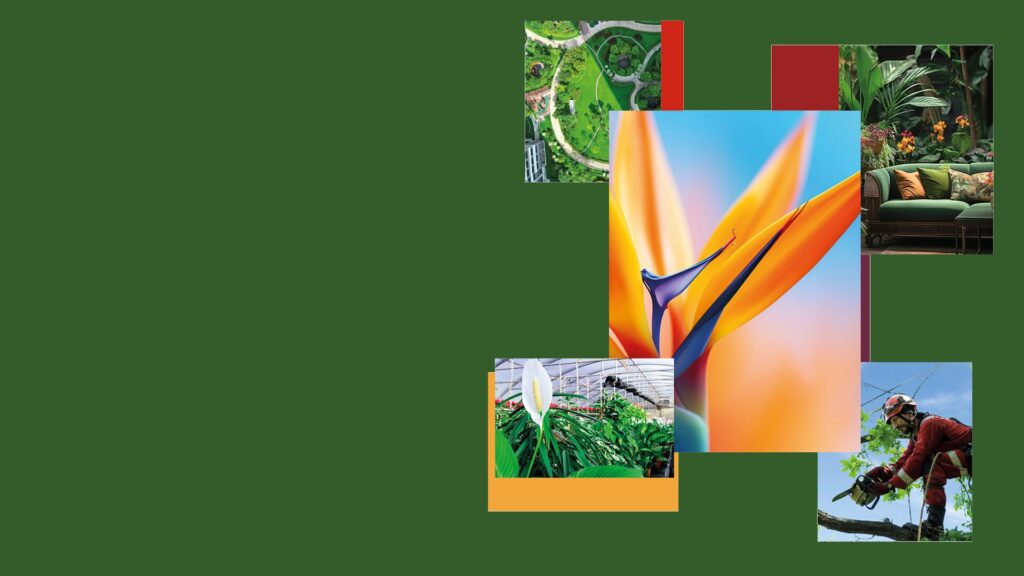 My Plant And Garden Header